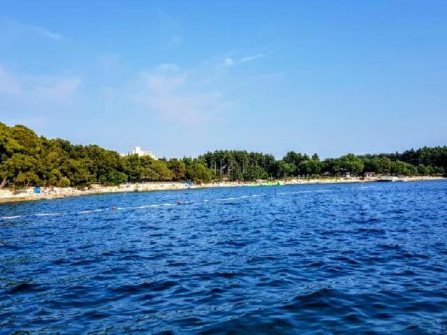 Apartman Maslina Διαμέρισμα Πόρετς Εξωτερικό φωτογραφία